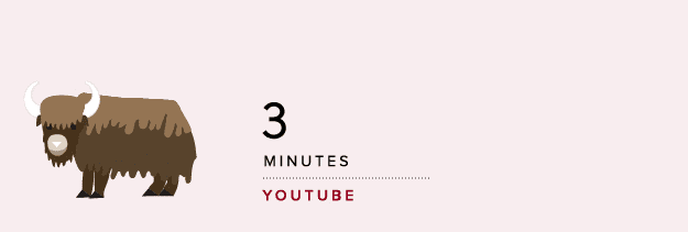 ideale-lengte-youtube-bericht