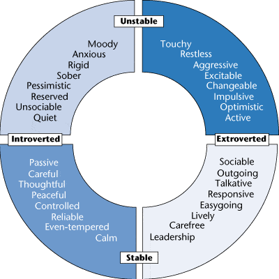 introvert extravert unstable stable model